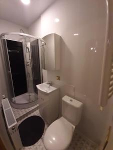 a bathroom with a toilet and a shower and a sink at Atpūtas vieta Buki in Ventspils