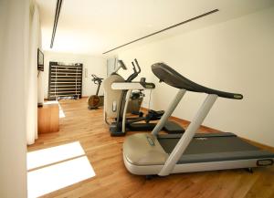 Fitness centrum a/nebo fitness zařízení v ubytování B&O Parkhotel