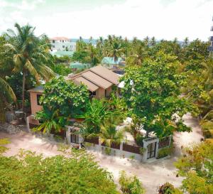 Zahrada ubytování Daisy Cottage Dhangethi