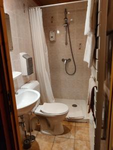 a bathroom with a toilet and a sink and a shower at B&B La Seigneurie in Les Gets +21 photos