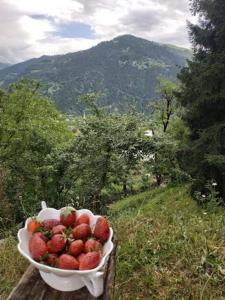 a bowl of strawberries sitting on a wooden fence with a mountain at Farvana in Didachara