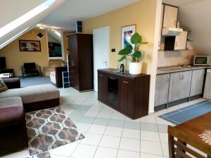 Kuchyňa alebo kuchynka v ubytovaní A Mecsek Gyöngye Apartmanhaz