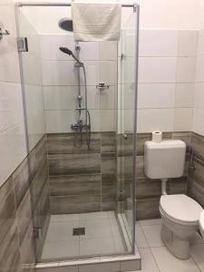 ein Bad mit einer Dusche und einem WC in der Unterkunft Y Panzió in Balatonlelle