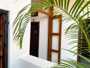 Fotografie z fotogalerie ubytování Hostel Inn v destinaci San Miguel de Allende
