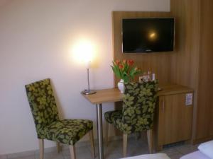 TV a/nebo společenská místnost v ubytování Hotel Goldener Löwe