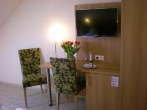 TV a/nebo společenská místnost v ubytování Hotel Goldener Löwe