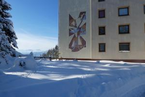 a building with a painting of a cat on it in the snow at Apartment Gerlitzen Ossiachersee - Haus Enzian in Treffen