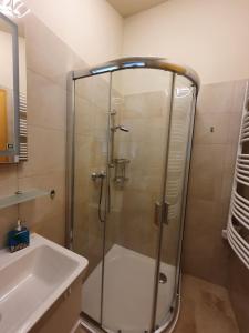 W łazience znajduje się szklana kabina prysznicowa i umywalka. w obiekcie Bárka a Tiszához apartman w mieście Tiszaug +37 zdjęć