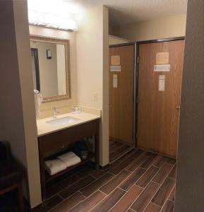 a bathroom with a sink and a mirror at Wingate by Wyndham West Mifflin in West Mifflin