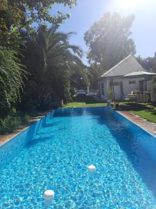 Swimmingpoolen hos eller tæt på Cabañas las palmeras