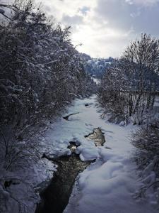 Príroda v okolí apartmánu