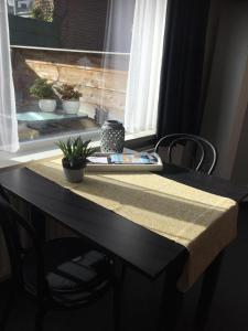 a table with two potted plants on top of it at Studio met woonslaapkamer,keuken en badkamer Dreefje 5 in Westkapelle