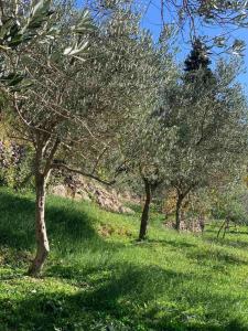 Giardino di Ranc Mujica