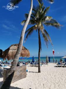 two palm trees on a beach with people on the sand at Pelicano Inn Playa del Carmen - Beachfront Hotel in Playa del Carmen