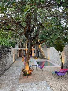 a group of chairs and a tree in a courtyard at Hotelito YUM KAAX in Mérida