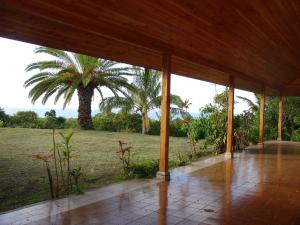 an empty porch with a palm tree in the background at Hotel Victoria in Hanga Roa +28 photos