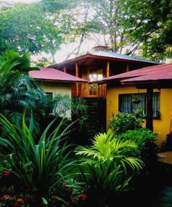 Una casa amarilla con plantas delante. en Villa Silvestre, en Coco