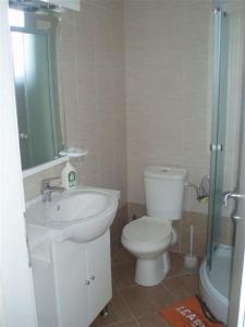 e bagno con servizi igienici, lavandino e doccia. di Apartment Goran - 30m close to the beach a Verunić