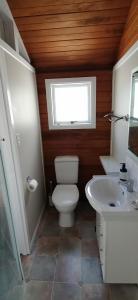 a bathroom with a toilet and a sink and a window at Garden Cottage in Hastings