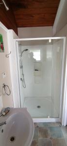 uma casa de banho com um chuveiro e um lavatório. em Garden Cottage em Hastings