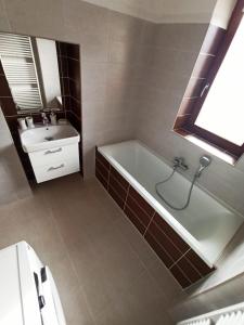 A bathroom at Apartmany U Lva