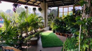 a greenhouse filled with lots of plants and a green rug at Cornwall Coorg in Madikeri