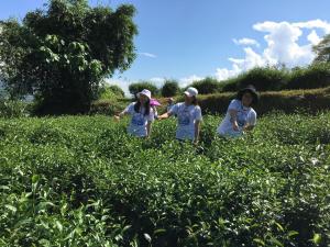 Os clientes hospedados em The LianFamily Teahouse B&B台東民宿001號