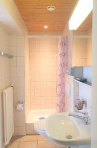 La salle de bains est pourvue d'un lavabo, de toilettes et d'une douche. dans l'établissement Bisang S, à Arosa
