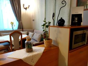 Kuchyňa alebo kuchynka v ubytovaní A Mecsek Gyöngye Apartmanhaz