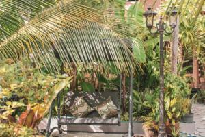 Zahrada ubytování Daisy Cottage Dhangethi