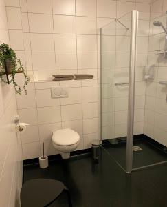 La salle de bains est pourvue de toilettes et d'une douche en verre. dans l'établissement Hotel Hof van 's Gravenmoer, à 's-Gravenmoer