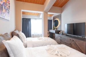 Een TV en/of entertainmentcenter bij Hotel Sport, Resort Mavrovo
