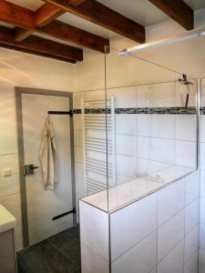 a bathroom with a glass shower stall and a walk in closet at Landhaus am See von Robertville in Waimes