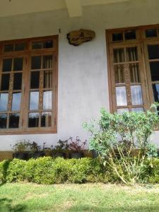 Vườn quanh AGP home