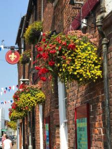 a brick building with flower boxes on the side of it at The Fleur De Lis in Sandwich