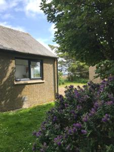 una ventana en el lateral de una casa con flores púrpuras en Crossgates, Rosehearty, en Rosehearty