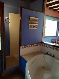 a bathroom with a large tub and a shower at Hotel rural reina Berta in Murillo de Gállego