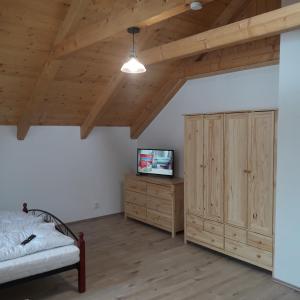 1 dormitorio con cama, TV y techos de madera en apartman u\Kapra, en Jeřmanice