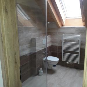 ein Bad mit einem WC und einer Glasdusche in der Unterkunft apartman u\Kapra in Jeřmanice