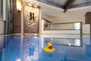 Piscina di Hotel Riedl o nelle vicinanze