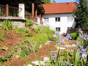 Vonkajšia záhrada v ubytovaní Linz Apartment Comfort-Size