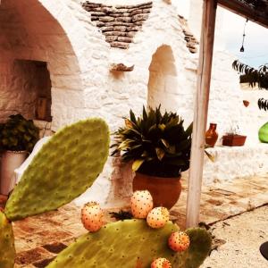 un cactus et d’autres plantes devant un bâtiment dans l'établissement Borgo trulli 1789, à Ostuni