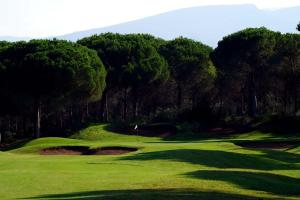 a view of a golf course with a green at Is Arenas Private Golf Foresterie - Unlimited golf included in Narbolia