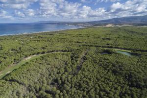 Gallery image of Is Arenas Private Golf Foresterie - Unlimited golf included in Narbolia