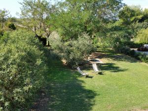 Agriturismo Bella Valle في مارينا دي سيسينا: حديقة بها أشجار وكراسي في العشب