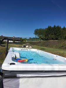 a large swimming pool with a toy in it at B&B AntiQua & Qook in Tongeren