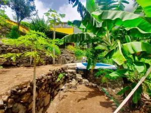 a surfboard laying on the ground next to some trees at Casa Das Ilhas in Paul