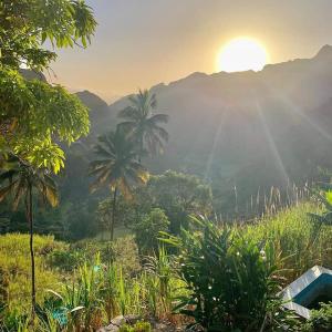 una vista de la puesta de sol desde un campo con palmeras en Casa Das Ilhas en Paul