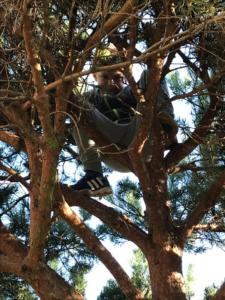 a man is sitting in a tree at Sněženka in Dolní Morava