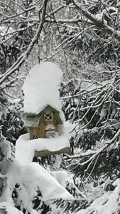 a bird house covered in snow in a forest at Sněženka in Dolní Morava
